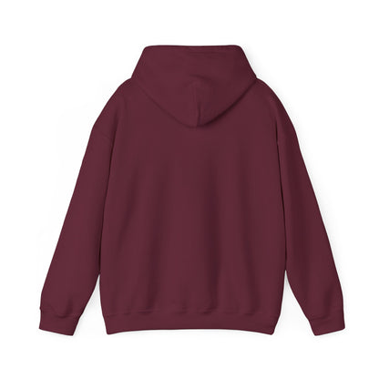 St James' Saturdays - Newcastle United Hoodie Unisex